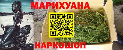 прущие грибы Пенза